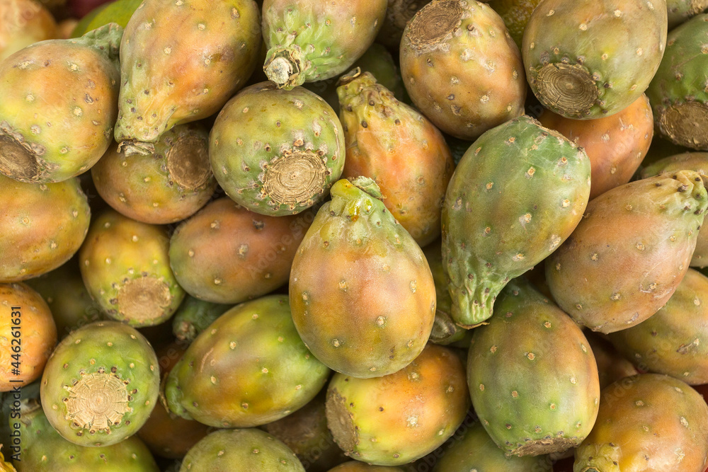 Fruit of the cactus - Opuntia ficus indica Fruit of the cactus - Opuntia ficus indica