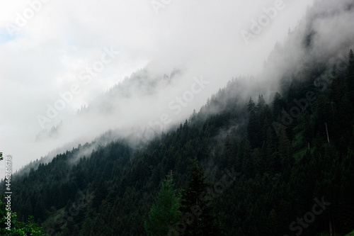 fog in the mountains © Alice