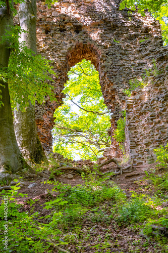 Stone gate in the forest. Bradlec castle ruins in Bohemian Paradise, Czech Republic