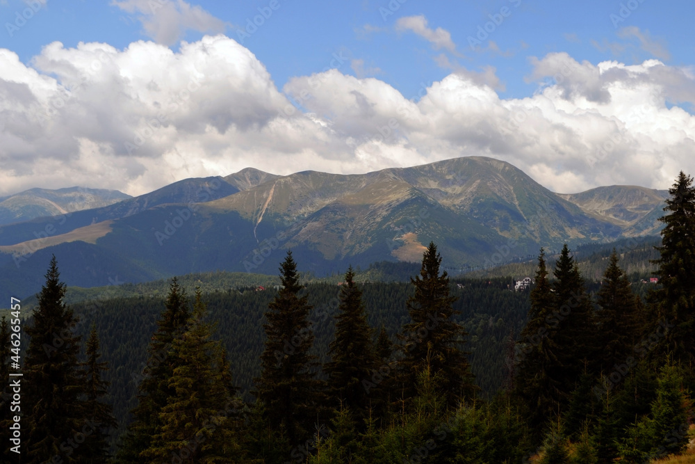 Obraz premium Panorama of Parang mountains, mountains in the Southern Carpathians 