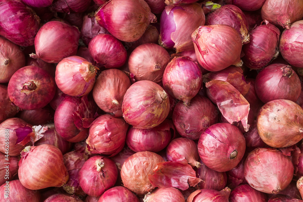 Organic onions in the traditional Colombian market - Allium cepa Organic onions in the traditional Colombian market - Allium cepa