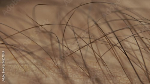Arm hairs extreme close up
