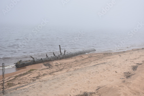 beach and sea