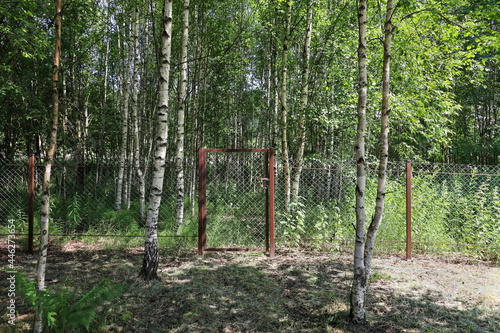 Fototapeta Naklejka Na Ścianę i Meble -  Wicket in mesh fence in birch forest, there is no passage, on door of castle, without people on sunny day