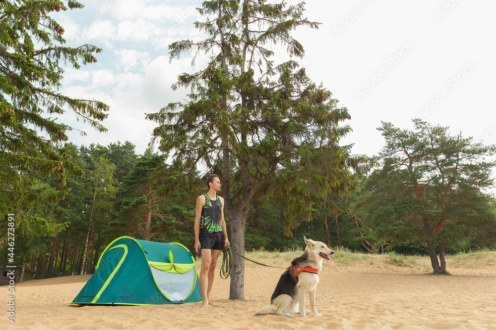 Man with Dog by tent under a tree on a sandy beach