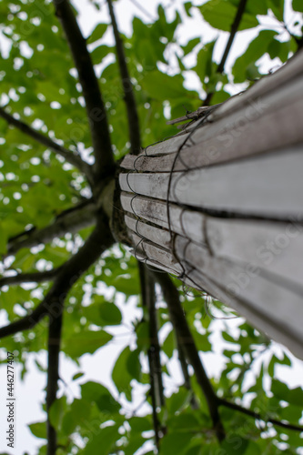 Schutzmatte am Baum