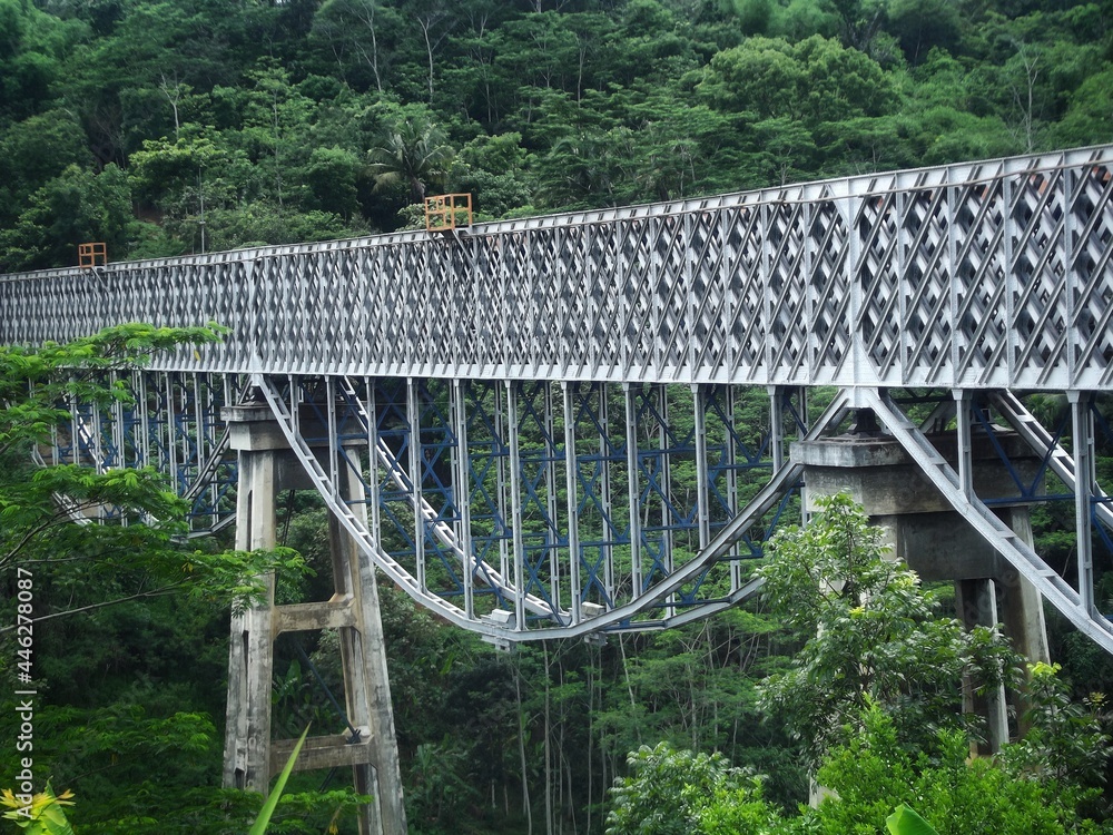 Fototapeta premium The bridge in the middle of forest