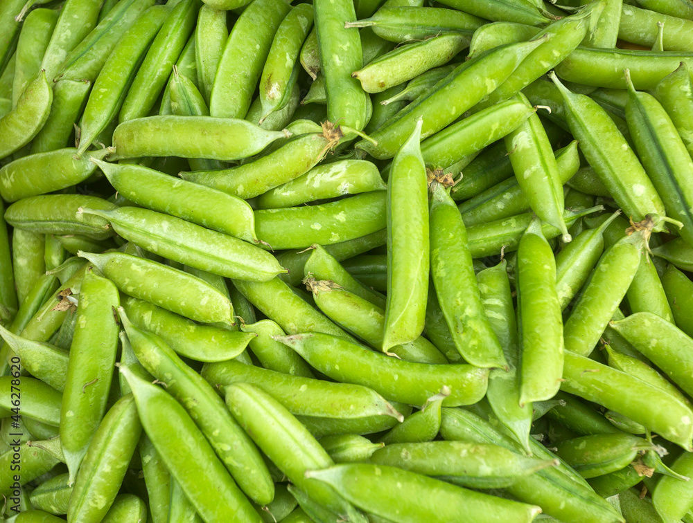 Pisum sativum - Organic peas in the traditional Colombian market Pisum sativum - Organic peas in the traditional Colombian market