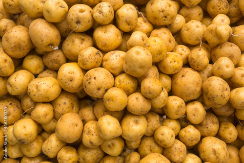 Solanum phureja - Organic creole potato in the traditional Colombian market