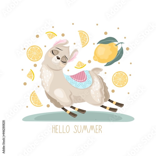 Summer postcard with a cute Llama on a beautiful background. A handwritten greeting. Vector illustration.