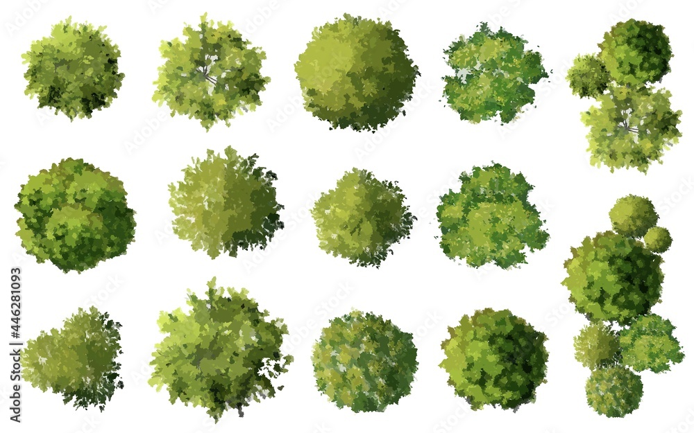 Vector of abstract watercolor tree top view isolated on white background for landscape plan and architecture layout drawing, elements for environment and garden