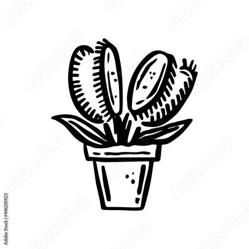 Flycatcher carnivorous plant. Black ink vector illustration. Witch element. Halloween design. Day of the dead. Isolated on white background.