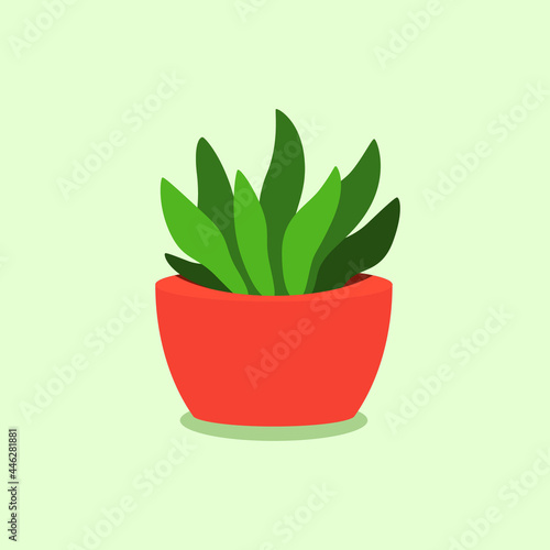 Flat vector design of succulents, indoor decoration plant