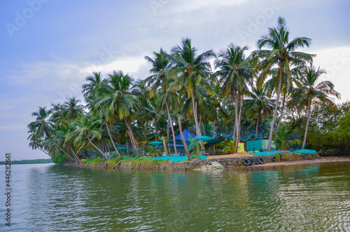 Small island with coconut palms