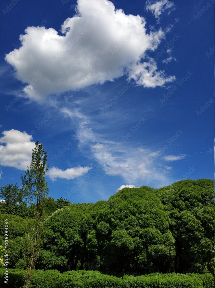 Obraz premium Landscape with clouds