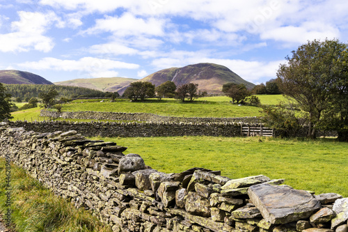 Fotografie, Obraz A little used lane between dry stone walls looking towards Loweswater Fell in th