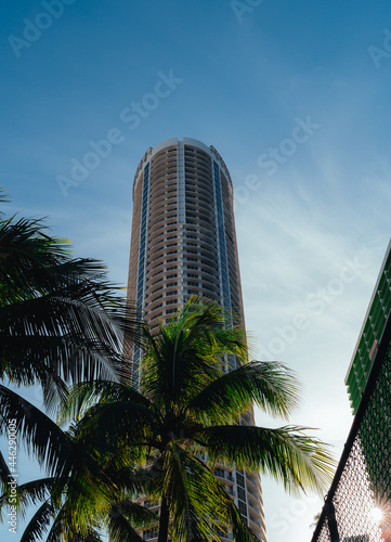 modern office building palms Miami Florida tropical  © Alberto GV PHOTOGRAP