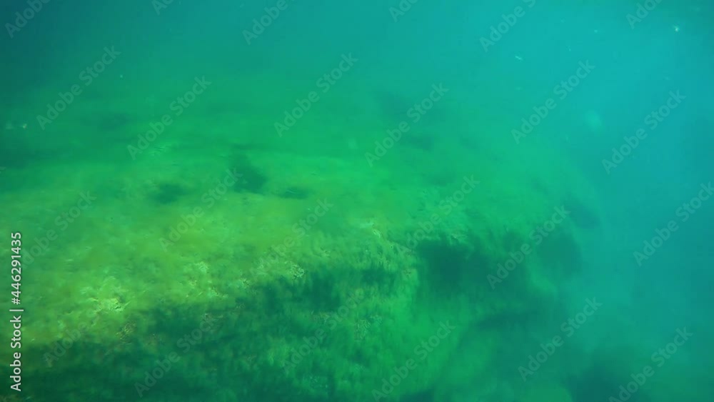 Underwater landscape in the sea. Caspian Sea. Month May. 2021 year. Underwater landscape in the sea. Caspian Sea. Month May. 2021 year.