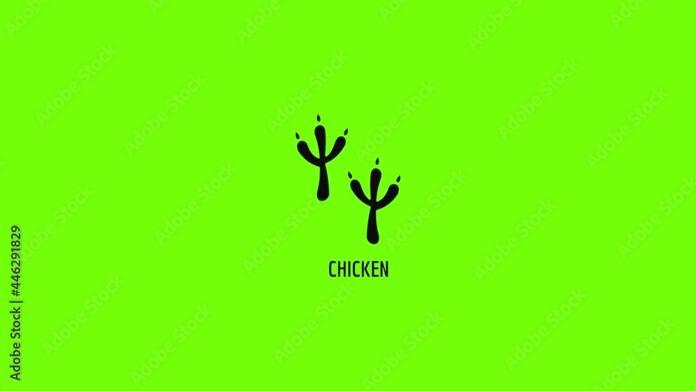 Chicken step icon animation Chicken step icon animation