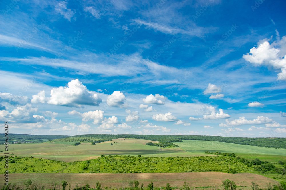 Summer landscape and white clouds over green fields