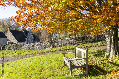 Autumn in the Cotswolds - A wooden bench beneath a beech tree beside the lane at Middle Duntisbourne, Gloucestershire UK photo