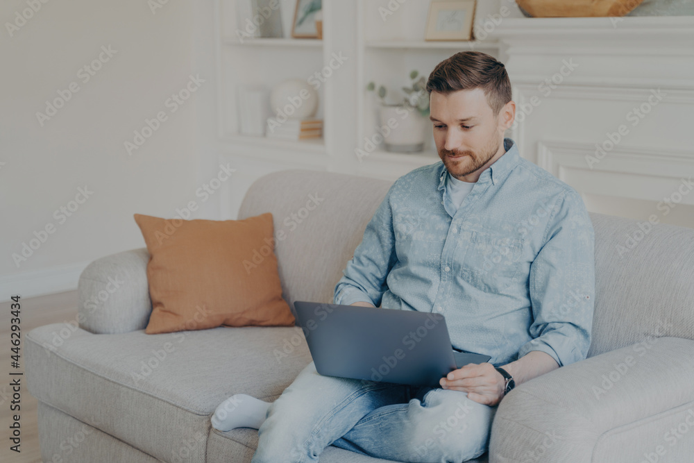 Attentive handsome young man in casual clothes using laptop while sitting on sofa Attentive handsome young man in casual clothes using laptop while sitting on sofa