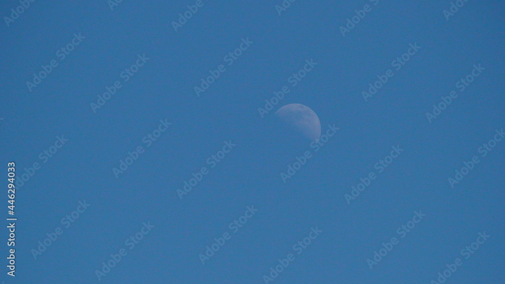 Moon Moon