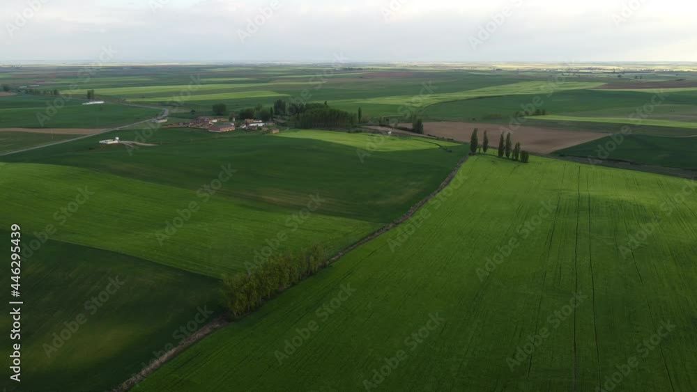 Tierra de campos Tierra de campos