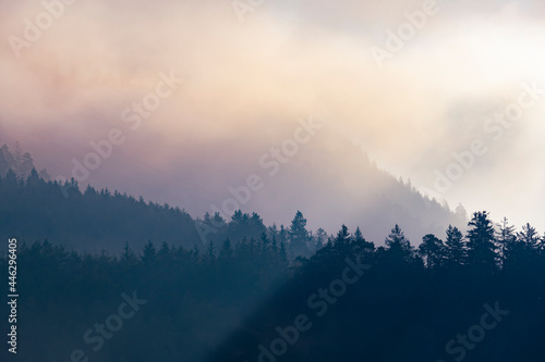 Sun rays streak three levels of misty mountain forests in autumn