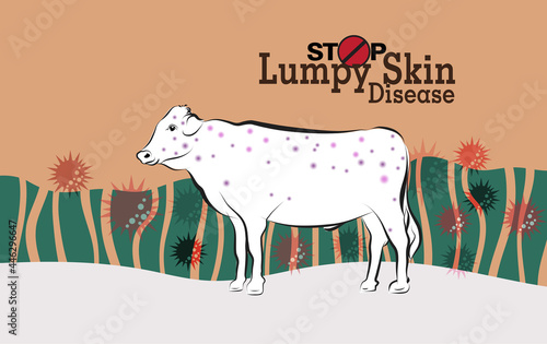 Fényképezés watch out, Lumpy skin disease[LSD] virus is spreading in East Asia