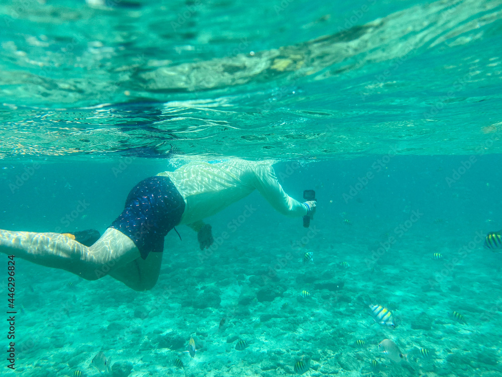 snorkeling on peanut island Lake Worth Inlet in Palm Beach County, Florida, United States