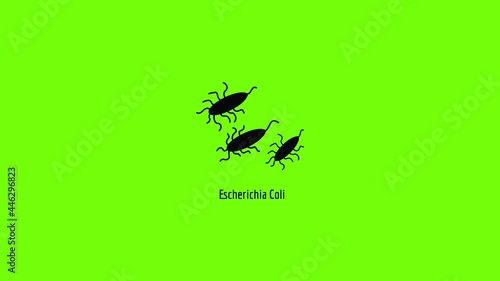 Escherichia Coli icon animation