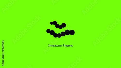 Streptococcus pyogenes icon animation