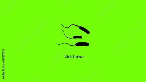 Vibrio Cholerae icon animation