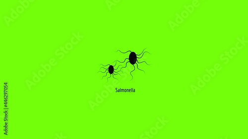 Salmonella icon animation