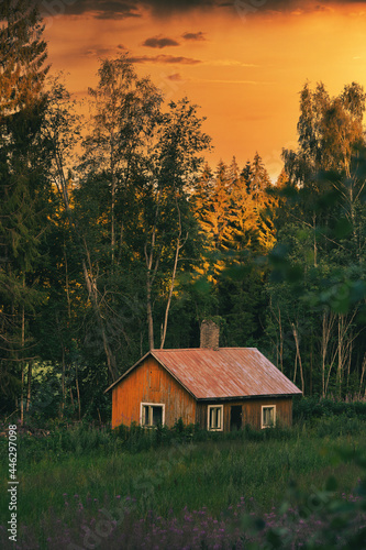 house in the forest. Dramatic and mystical.