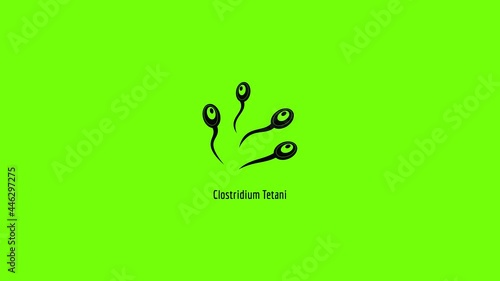 Clostridium tetani icon animation