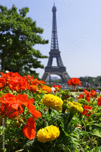 Primavera em Paris. Spring in Paris.