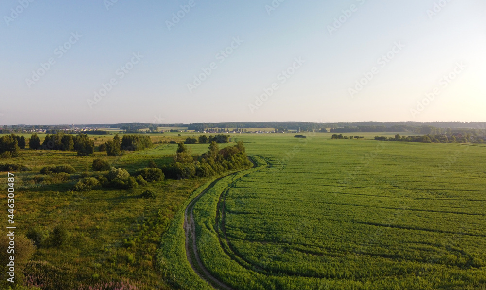 Aerial view of green summer landscape with fields