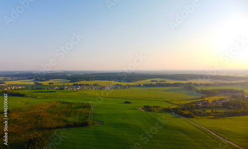 Aerial view of green summer landscape with fields