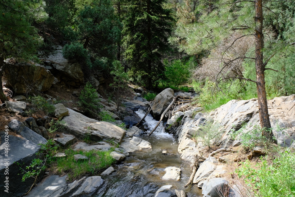 Obraz premium Beaver Brook Trail in Colorado