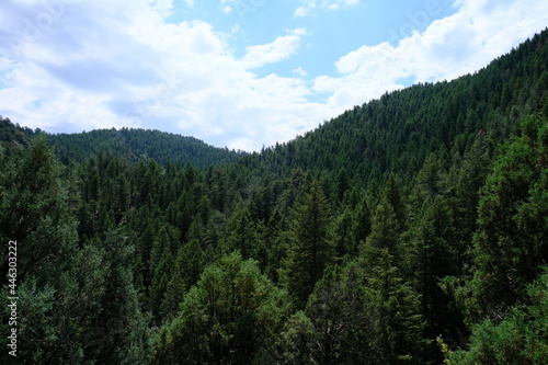 Beaver Brook Trail in Colorado