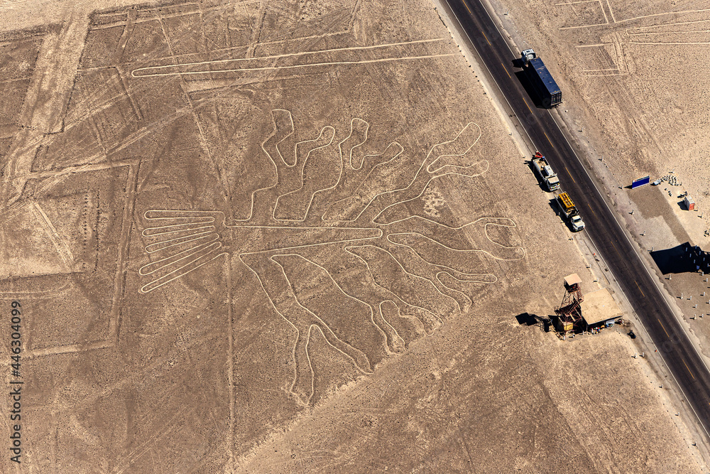 Peru, Palpa Province. The Nazca Lines (UNESCO World Heritage Sites) at Nazca Desert. The Tree geoglyph