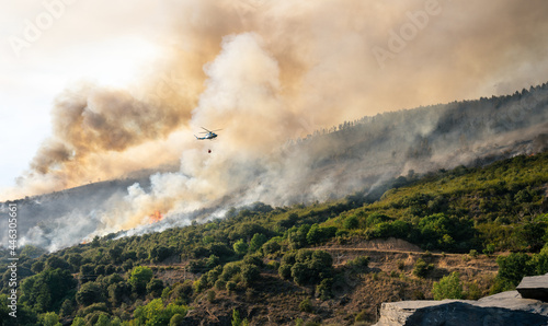 Helicóptero de bomberos en acción apagando un incendio en la montaña, en Leon. España.
