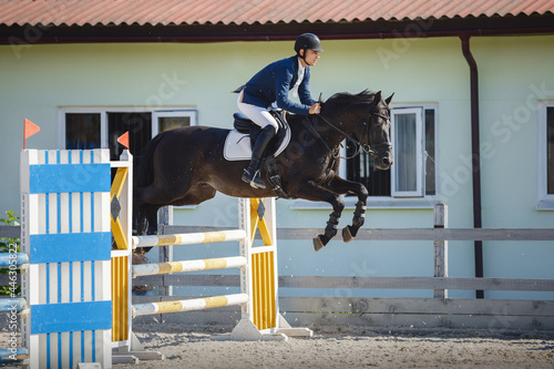 horse and rider jumping on showjumping competition
