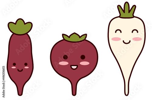 Cute beetroot characters set. Kawaii vegetables smile at kids. Cartoon food. Collection of root vegetable of different variety: Cylindra, Detroit dark red, white sugar beet. Flat outline illustration.