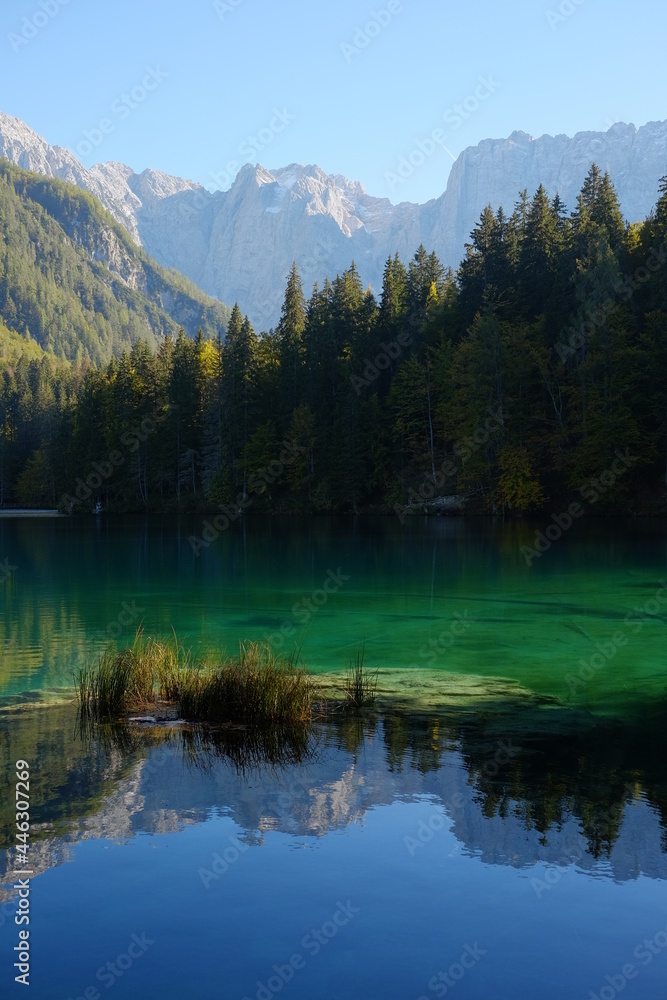 Bergsee mit grünem Wasser vor Nadelbäumen und Bergen und Spiegelung Hochformat