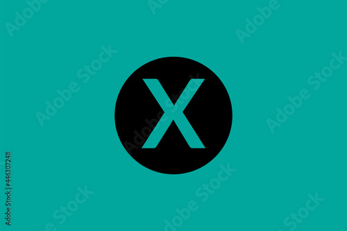 X Letter Logo Vector Design Template