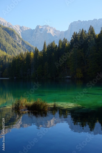 Bergsee mit grünem Wasser vor Nadelbäumen und Bergen und Spiegelung Hochformat