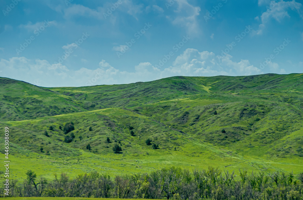 Badlands National Park, SD, USA - June 1, 2008: Intense green hills and prairie under blue cloudscape at SW entrance to park.